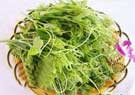 五指山野菜(cài)